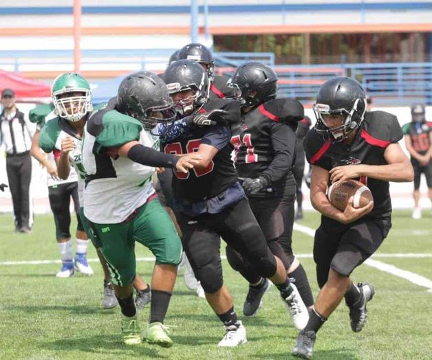 Arrasan Sharks en la categoría A