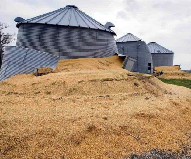 Acusa México a EU de afectar a sus propios maiceros