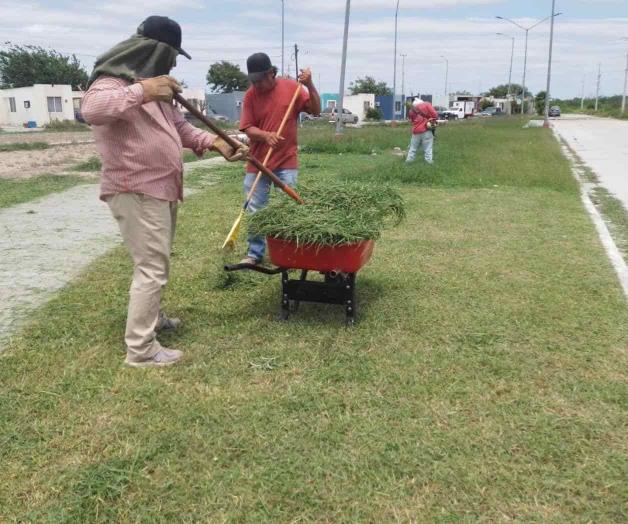 Rehabilitan áreas verdes