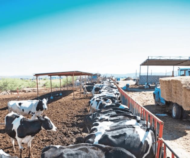 Avanza en comisiones del Senado extinción de la Financiera Rural