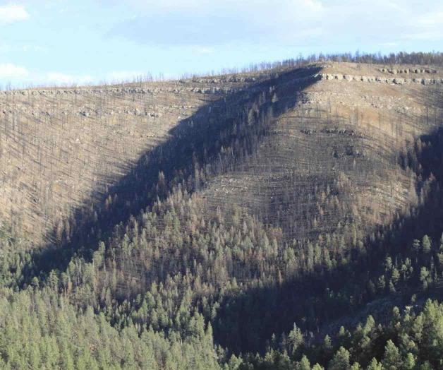 Piden acciones contra incendios