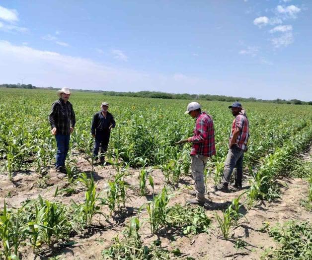 Quieren campesinos recibir pagos justos Quieren campesinos recibir pagos justos