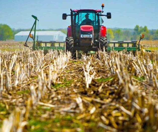 Es Tamaulipas  1” lugar en agricultura