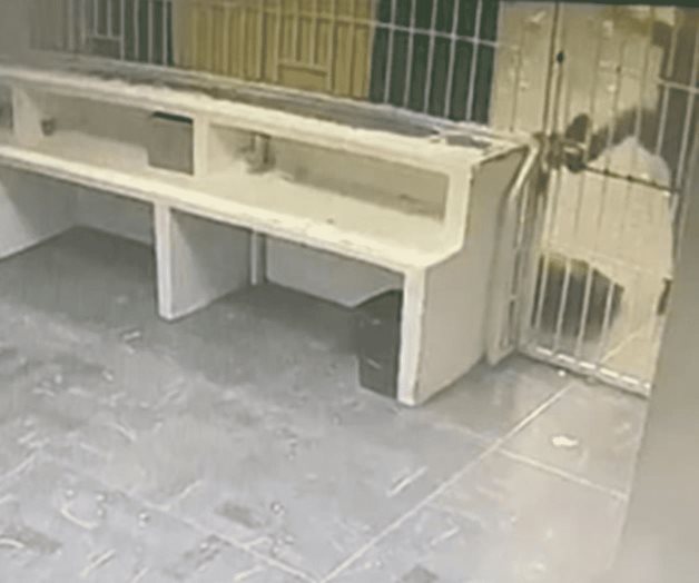 Migrantes iniciaron incendio pensando que con protesta podían salir: AMLO