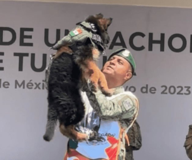 Arkadas, nombre del cachorro turco de la Sedena