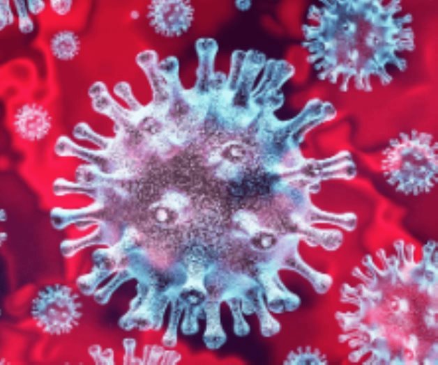 El COVID-19 fue la cuarta causa de muertes en EEUU en 2022