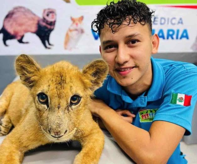 Anuncia la apertura de Zoo en la ciudad Anuncia la apertura de Zoo en la ciudad