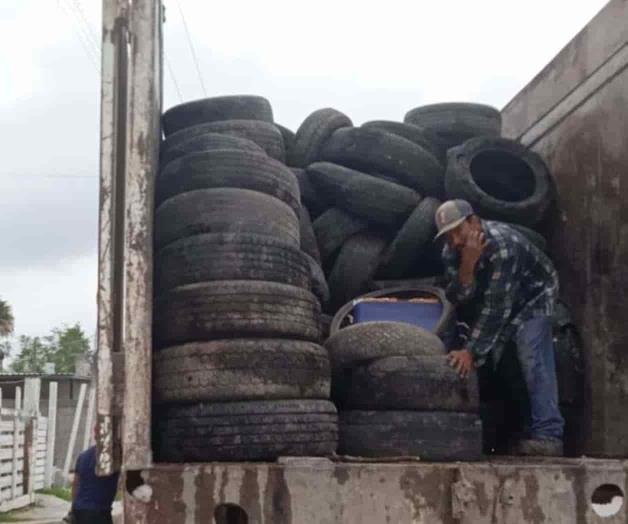 Descacharrización llegó para quedarse