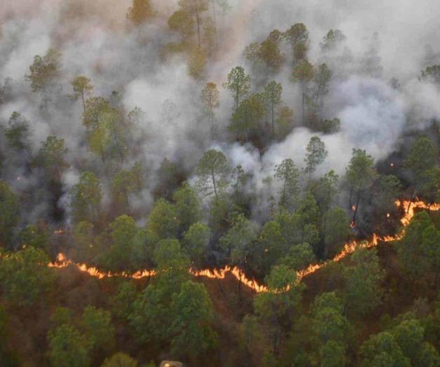 Termina catástrofe en Atemajac, daña 3 mil 600 hectáreas