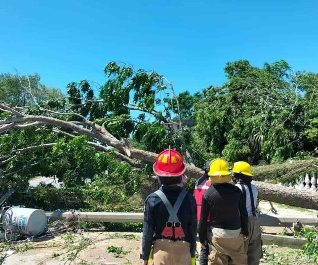 Anticipan una semana de lluvias