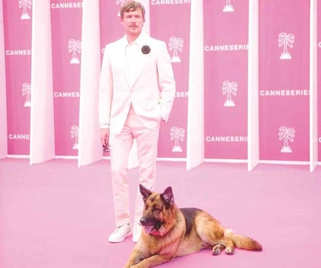 Estrella de cuatro patas