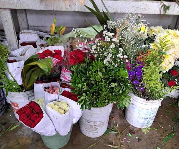 Confían vendedores de flores incrementar hasta 30% en ventas