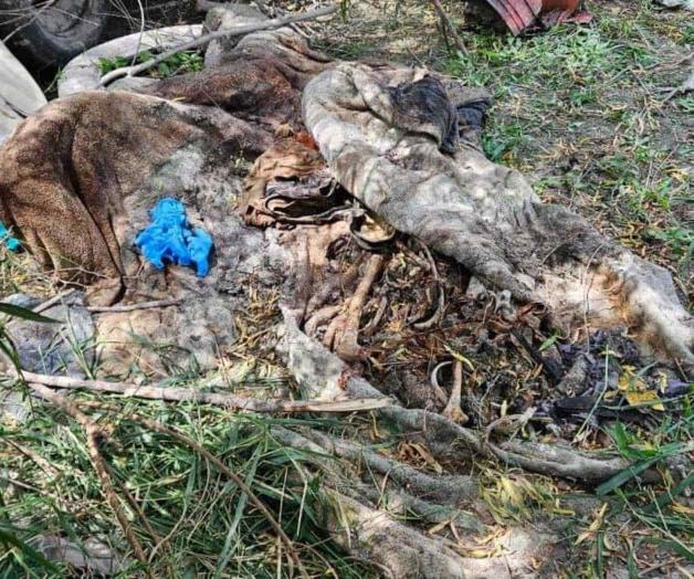 Encuentra colectivo a otro ‘encobijado’ Encuentra colectivo a otro ‘encobijado’