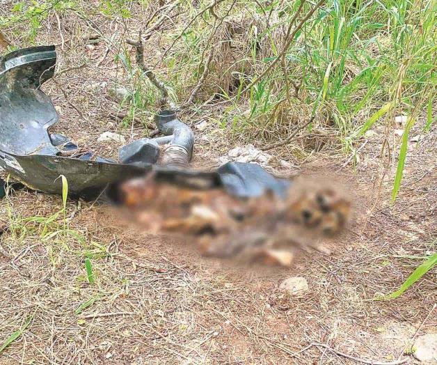 Encuentra ranchero restos óseos