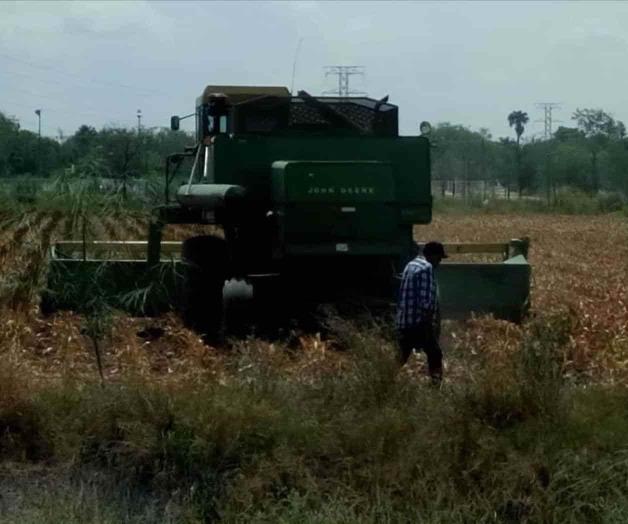 Sin arribar apoyos federales al campo