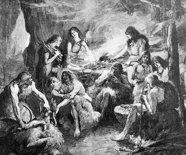 Somos cocinívoros: cómo la cocina cambió para siempre nuestro aparato digestivo