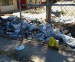 Sufren de basura en las escuelas