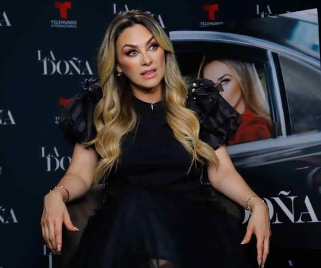 Aracely Arámbula asegura que LuisMi no habla con sus hijos
