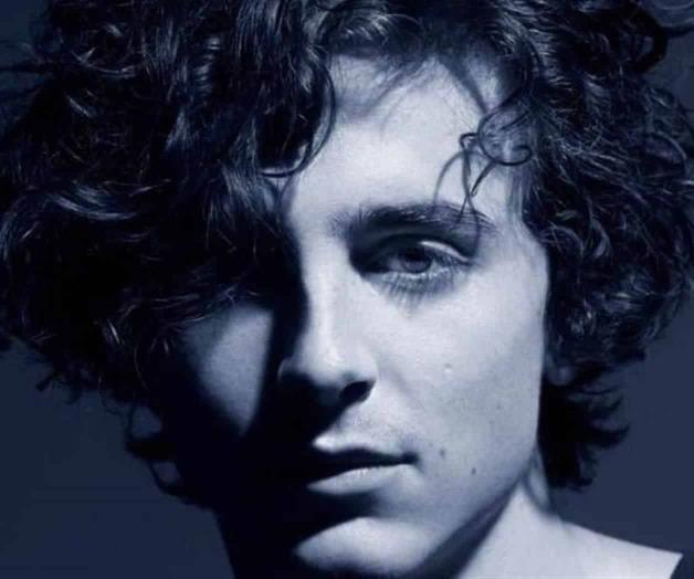 Timothée Chalamet es el nuevo embajador de Chanel Timothée Chalamet es el nuevo embajador de Chanel