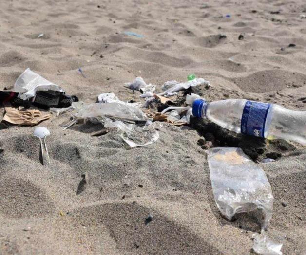 Estos son los plásticos que deberían prohibirse, según WWF Estos son los plásticos que deberían prohibirse, según WWF