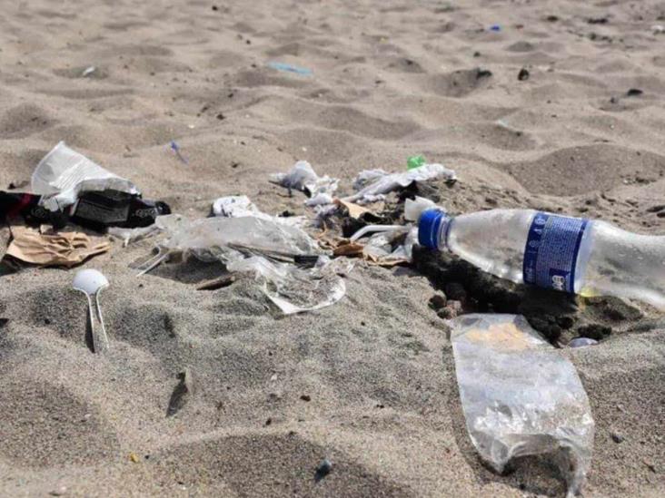 Estos son los plásticos que deberían prohibirse, según WWF Estos son los plásticos que deberían prohibirse, según WWF