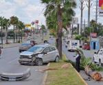 Detiene palmera su veloz carrera