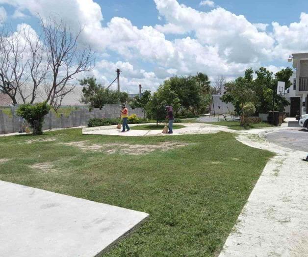 Dan mantenimiento en las áreas verdes Dan mantenimiento en las áreas verdes