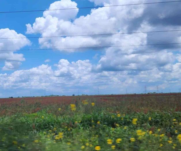 Generan lluvias nuevos empleos Generan lluvias nuevos empleos