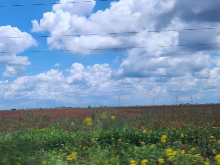 Generan lluvias nuevos empleos Generan lluvias nuevos empleos