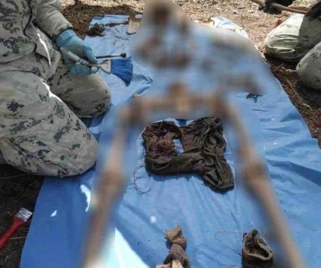 Aparecen más restos