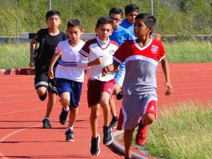 ¡Vuelven a la pista! ¡Vuelven a la pista!