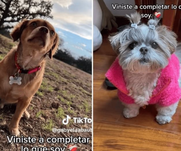 En TikTok tema de Shakira se vuelve trend