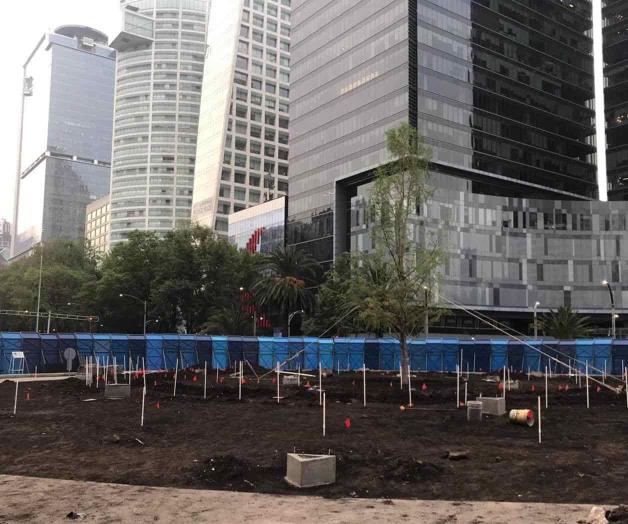 Plantan ahuehuete en glorieta de Paseo de la Reforma Plantan ahuehuete en glorieta de Paseo de la Reforma