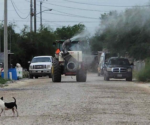 Despliegan operativo contra mosco del dengue Despliegan operativo contra mosco del dengue