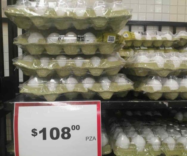 Mantiene huevo tendencia al alza