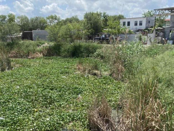 Sufren familias por los piquetes de zancudos Sufren familias por los piquetes de zancudos