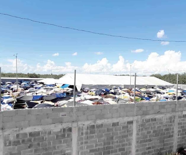 Est&aacute;n albergues al tope: Buscan donaci&oacute;n de terreno