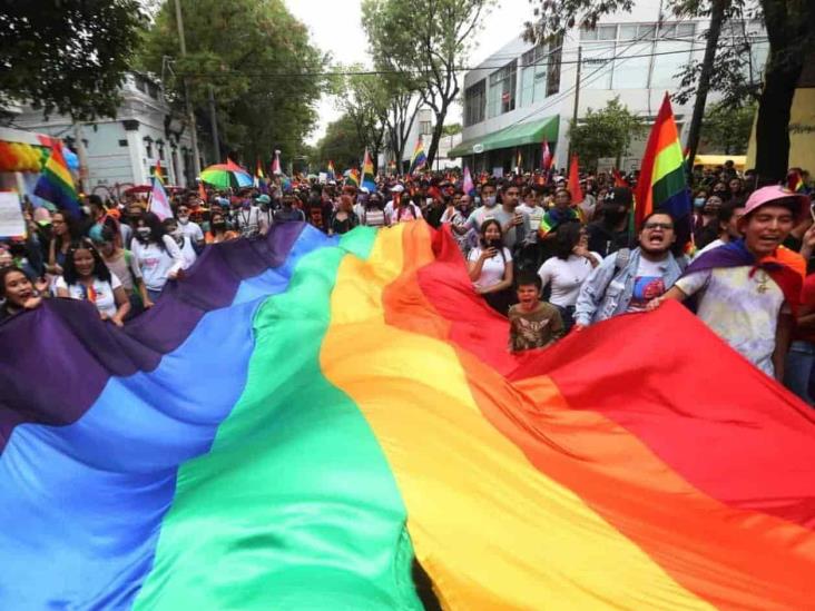 Marcha del Orgullo LGBT+ será el 3 de junio en GDL Marcha del Orgullo LGBT+ será el 3 de junio en GDL