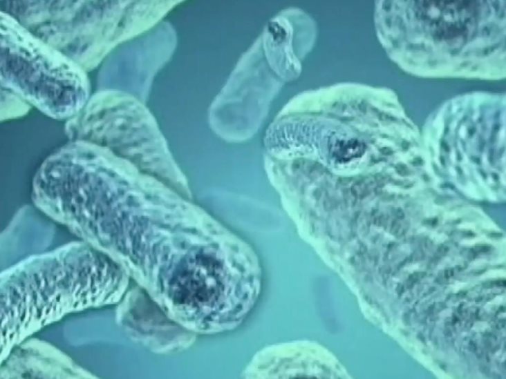 Alarma por expansión de meningitis fúngica Alarma por expansión de meningitis fúngica