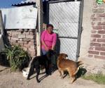 Era Scooby nombre de perrito arrojado a cazo con aceite