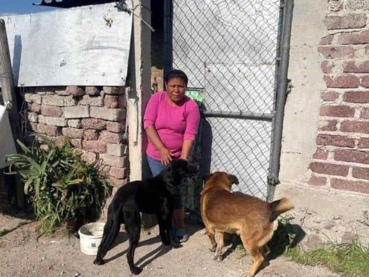 Era Scooby nombre de perrito arrojado a cazo con aceite Era Scooby nombre de perrito arrojado a cazo con aceite