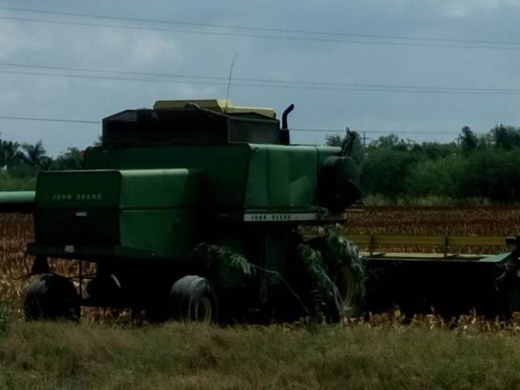 Esperan productores, se revelen montos de apoyo al campo por Estado Esperan productores, se revelen montos de apoyo al campo por Estado