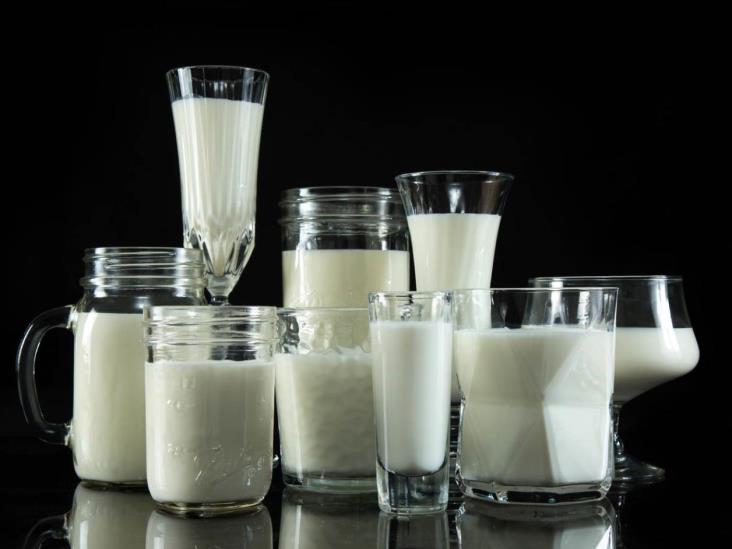 Llaman a elevar consumo de leche en México Llaman a elevar consumo de leche en México