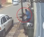 Conoce la historia de Scooby, el perro que mataron cruelmente