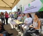 Se reestructura Partido Verde rumbo a elecciones del 2024