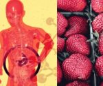 Síntomas que se pueden tener por fresas contaminadas con hepatitis A