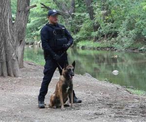 TAMAULIPAS | Reciben binomios caninos de Guardia Estatal capacitación especializada