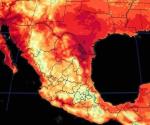 Van 8 muertes en México durante temporada de calor