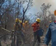 Protección Civil Tamaulipas trabaja en control de incendios forestales en Jaumave