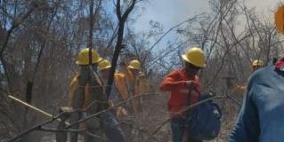 Protección Civil Tamaulipas trabaja en control de incendios forestales en Jaumave